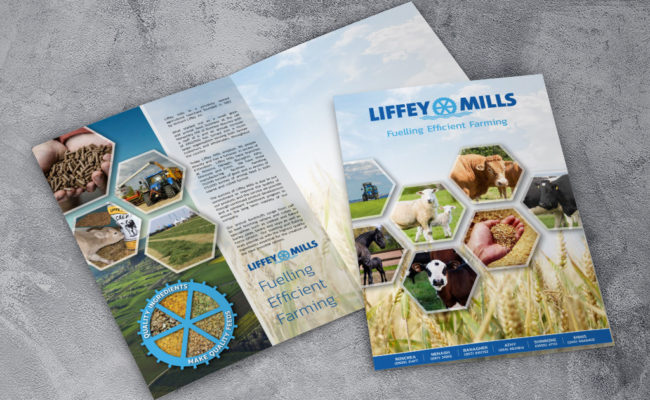 Liffey Mills A4 printed folder